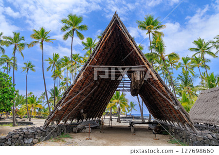 夏威夷假期：大島普烏霍努阿霍那瑙國家歷史公園 127698660