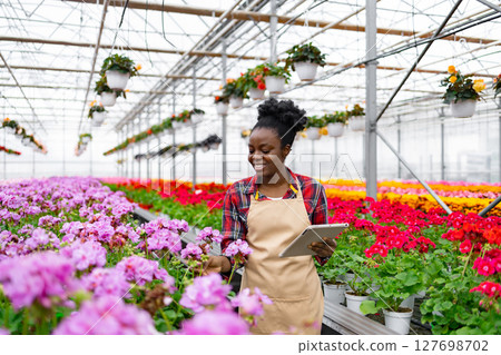 An African-American woman tends to flowers in a greenhouse, using a tablet to monitor growth and development. 127698702