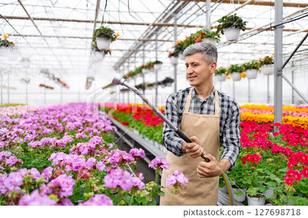 A greenhouse worker waters colorful flowers with a hose, creating a beautiful and vibrant display. A greenhouse worker waters colorful flowers with a hose, creating a beautiful and vibrant display. 127698718