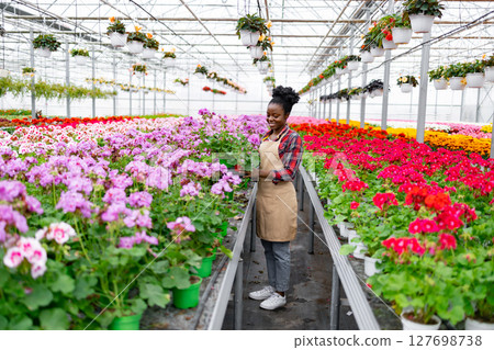 An African American woman smiles while tending to colorful flowers in a greenhouse setting. An African American woman smiles while tending to colorful flowers in a greenhouse setting. 127698738