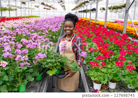 A smiling Black woman in a greenhouse holding potted geraniums, surrounded by vibrant blooming flowers. 127698745