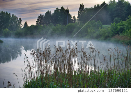 Misty Morning by a Serene Lake Surrounded by Trees and Grass Misty Morning by a Serene Lake Surrounded by Trees and Grass 127699131