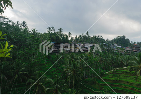 Tegalalang rice terraces in Ubud, Bali island during cloudy day Tegalalang rice terraces in Ubud, Bali island during cloudy day 127699137