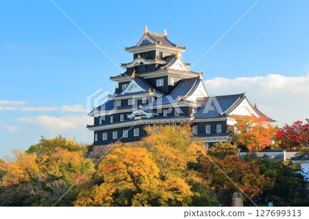 [Okayama Prefecture] Okayama Castle's castle tower in autumn leaves (after major renovation in the Reiwa era) 127699313
