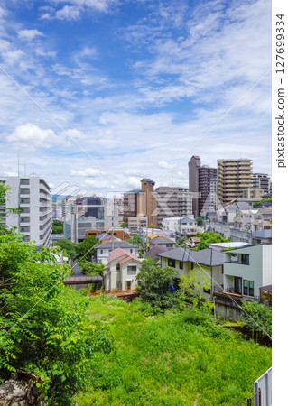 Takarazuka distant view 127699334