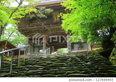 Mount Takao Jingoji Temple 127699493