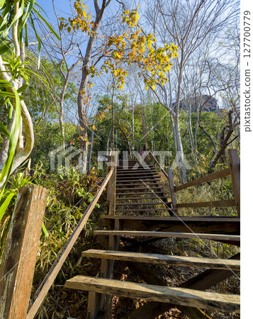 Wooden staircase at Wat Phu Tok in northeastern Thailand 127700779