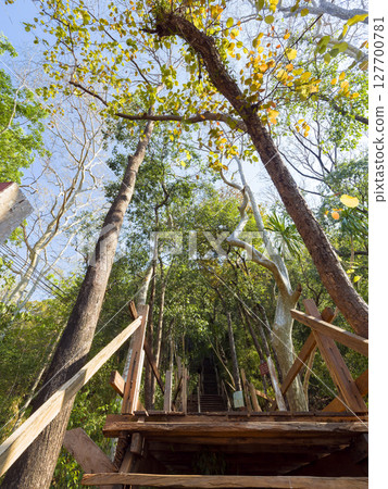 泰國東北部普托寺 (Wat Phu Tok) 入口 127700781