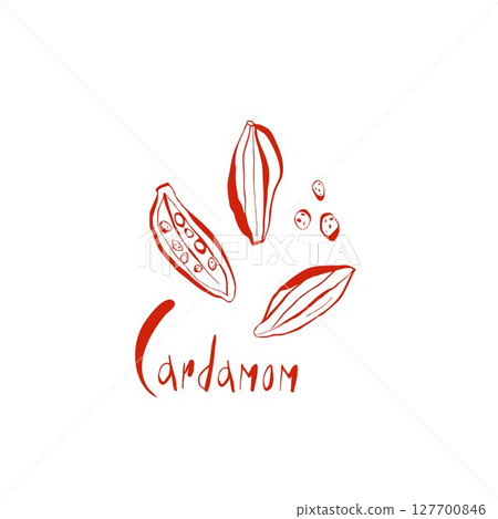 Hand drawn cardamom illustration set with whole pods seeds and lettering in red color for spice branding and kitchen decor Hand drawn cardamom illustration set with whole pods seeds and lettering in red color for spice branding and kitchen decor 127700846