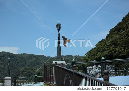 A bridge along the coast of the Izu Peninsula with black kites flying A bridge along the coast of the Izu Peninsula with black kites flying 127701047