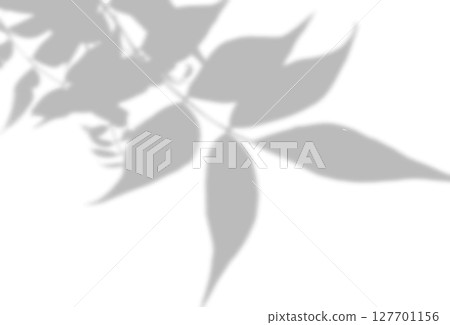 The shadow of the leaves of a tree on a white wall. A black and white image to overlay on a photo or mockup 127701156