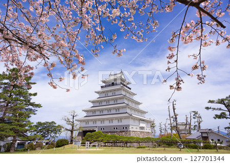 Shimabara Castle in spring with cherry blossoms 127701344