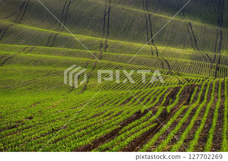 Beautiful spring landscape with field, hills and sunset. Czech Republic - South Moravia (Moravian Tuscany.) Concept for agriculture, travel, environment and nature.. Beautiful spring landscape with field, hills and sunset. Czech Republic - South Moravia (Moravian Tuscany.) Concept for agriculture, travel, environment and nature.. 127702269
