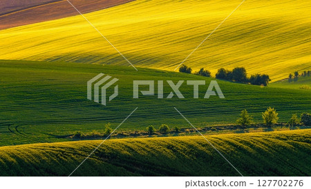Beautiful spring landscape with field, hills and sunset. Czech Republic - South Moravia (Moravian Tuscany.) Concept for agriculture, travel, environment and nature. Beautiful spring landscape with field, hills and sunset. Czech Republic - South Moravia (Moravian Tuscany.) Concept for agriculture, travel, environment and nature. 127702276