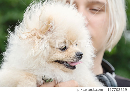 Teen Boy Holding a Cute Fluffy Pomeranian Dog with its Tongue Out. Pet Adoption and Animal Love Concept for Veterinary Ad. 127702839