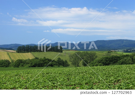 Biei rural area 127702963
