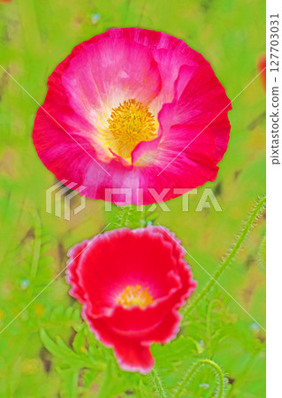 房屋周圍鮮花盛開，四季皆宜。初夏時節，公園的花園裡，五顏六色的罌粟花開始綻放。 127703031