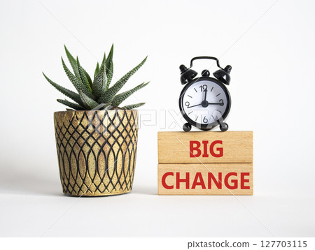 Big Change symbol. Wooden blocks with words Big Change. Beautiful white background with alarm clock and succulent plant. Business and Big Change concept. Copy space. 127703115
