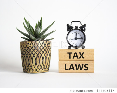 Tax Laws symbol. Concept word Tax Laws on wooden blocks. Beautiful white background with alarm clock and succulent plant. Business and Tax Laws concept. Copy space 127703117