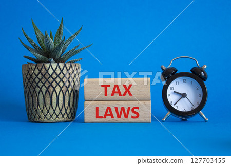 Tax Laws symbol. Concept word Tax Laws on wooden blocks. Beautiful blue background with alarm clock and succulent plant. Business and Tax Laws concept. Copy space 127703455