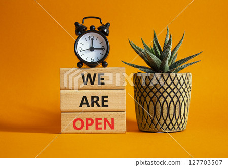 We are open symbol. Concept words We are open on wooden blocks. Beautiful orange background with succulent plant and alarm clock. Business and We are open concept. Copy space 127703507