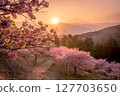 櫻花、富士山和日落 127703650