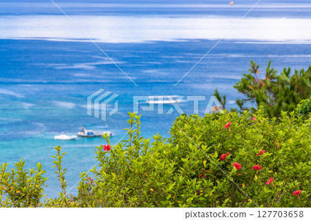 Hibiscus and the sea Hibiscus and the sea 127703658