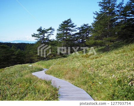 池野平濕原的秋天 127703754