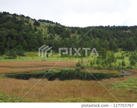 Autumn in Ikenodaira Marshland 127703767
