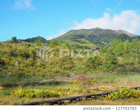 Autumn armor removal pond Autumn armor removal pond 127703783
