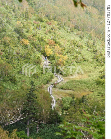 Autumn tsugaike nature park Autumn tsugaike nature park 127703785