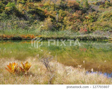 Autumn armor removal pond 127703807