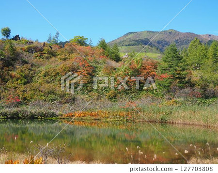 秋季脫甲池 127703808