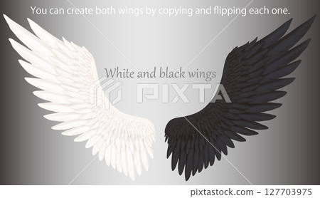 一組白色和黑色的翅膀,可以透過複製和翻轉製作成兩個翅膀 一組白色和黑色的翅膀,可以透過複製和翻轉製作成兩個翅膀 127703975
