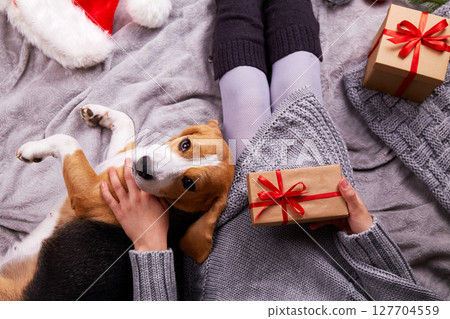 A girl and a beagle dog are resting on a bed at home. A girl and a beagle dog are resting on a bed at home. 127704559
