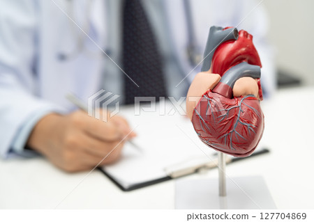 Cardiovascular disease CVD, Asian doctor holding human anatomy model for learn and treat heart disease. 127704869
