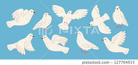 Cartoon white pigeons. City doves in different poses, beautiful wedding symbol, faith, love and peace flying birds, cute funny featheries, freedom character, isolated garish vector set 127704915