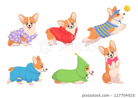 Cute corgi dog in clothes. Funny puppy with different seasons wear, cartoon happy pet character, cartoon mascot, adorable domestic animal playing, stickers collection, classy vector set 127704928