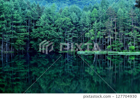 Shinshu: A breathtaking view of the greenery of the mysterious Mishaka Pond Shinshu: A breathtaking view of the greenery of the mysterious Mishaka Pond 127704930