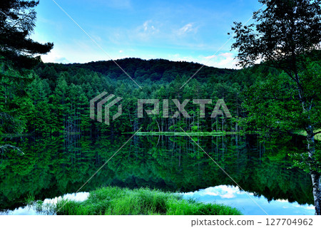 Shinshu: A breathtaking view of the greenery of the mysterious Mishaka Pond 127704962