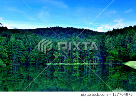 Shinshu: A breathtaking view of the greenery of the mysterious Mishaka Pond 127704972