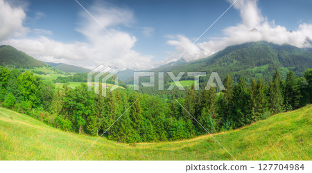 Meadow with road in Berchtesgaden National Park 127704984