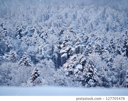 Kusatsu Onsen in winter: View from a hilltop 127705476