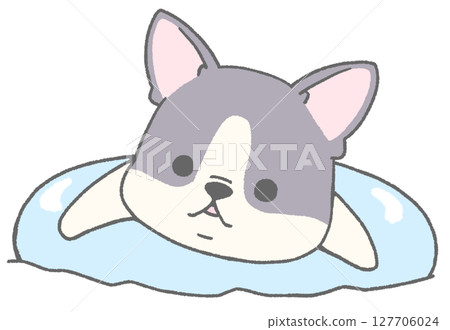法國鬥牛犬（花斑）漂浮在花車上 127706024