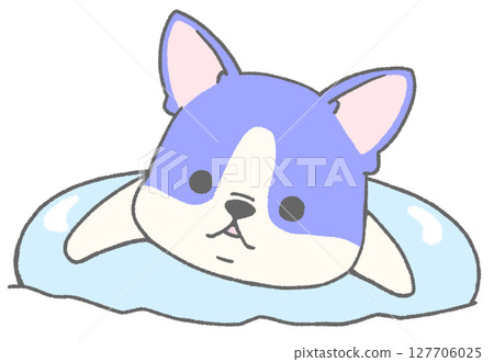 法國鬥牛犬(花斑,藍色)漂浮在花車上 法國鬥牛犬(花斑,藍色)漂浮在花車上 127706025