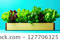 Fresh and vibrant assortment of leafy greens in a wooden planter against a bright teal background highlighting healthy eating choices 127706325