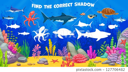 Find correct shadow of sea animals at underwater landscape for kids game, vector worksheet. Cartoon puzzle quiz to find same silhouette of shark fish and funny octopus, turtle and clownfish character Find correct shadow of sea animals at underwater landscape for kids game, vector worksheet. Cartoon puzzle quiz to find same silhouette of shark fish and funny octopus, turtle and clownfish character 127706482