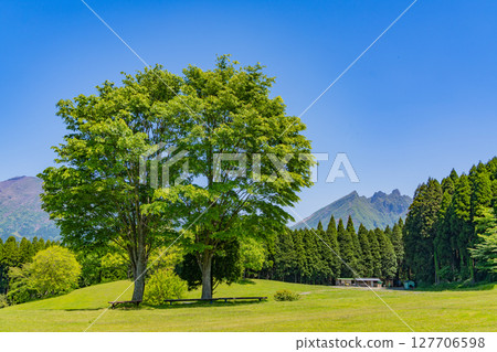 從高森町月回園區眺望的貓山（熊本縣） 127706598