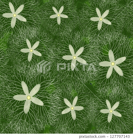 Seamless pattern with delicate lace-like Caltrop flowers 127707143