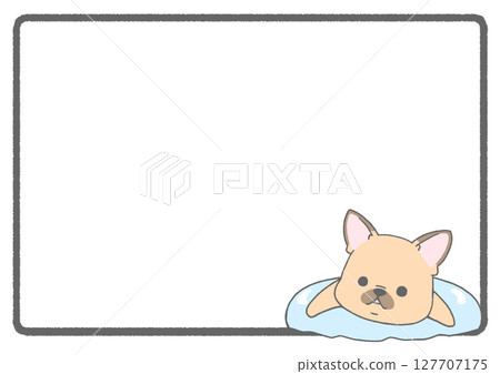 漂浮在游泳圈中的法國鬥牛犬的框架背景（棕色） 127707175